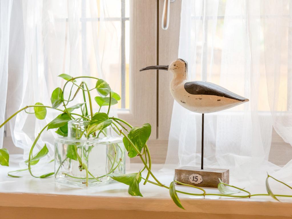 Torrigiani Apartment フィレンツェ エクステリア 写真